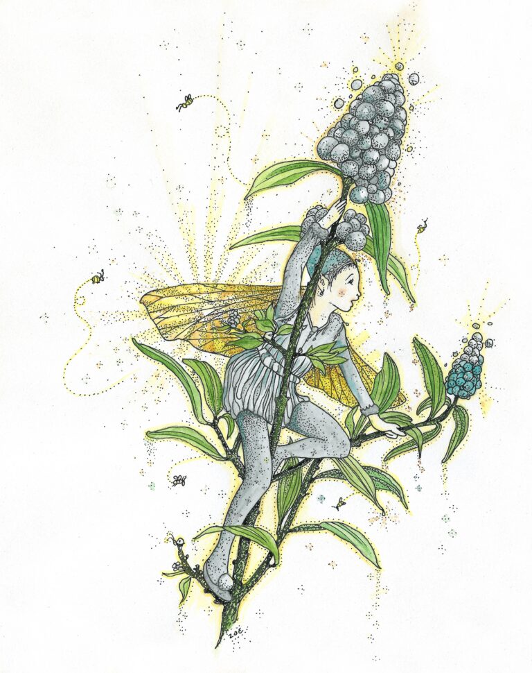 Fairies