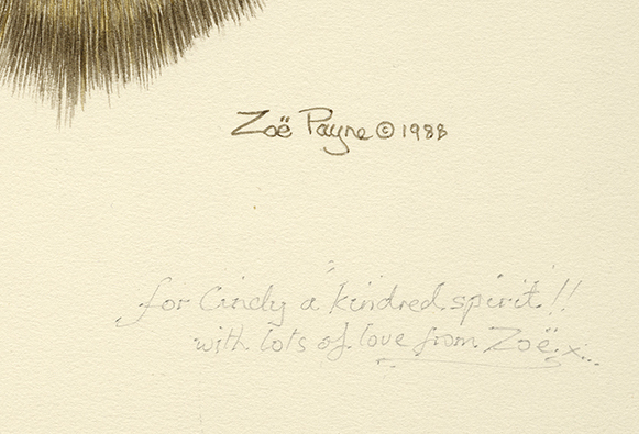 Bobcat Kiss signature