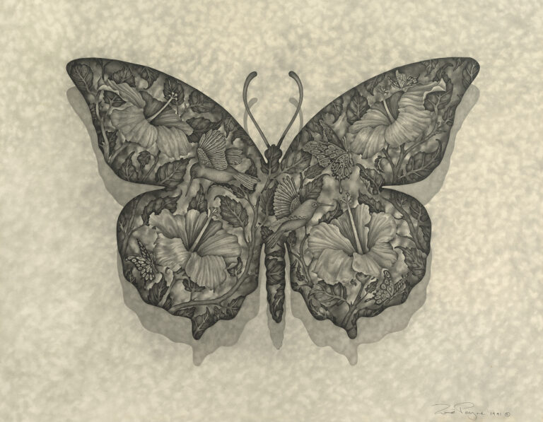 Butterfly of Nature