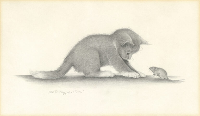 Cat & Mouse