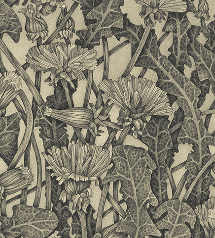 Dandelion by Zoë Payne — detail view