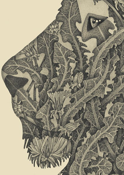 Dandelion by Zoë Payne — detail view