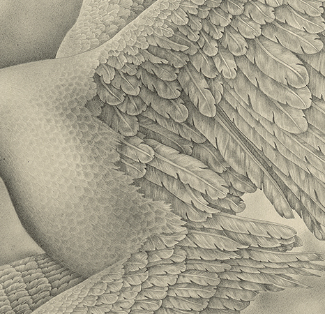 Heron Love by Zoë Payne — detail view