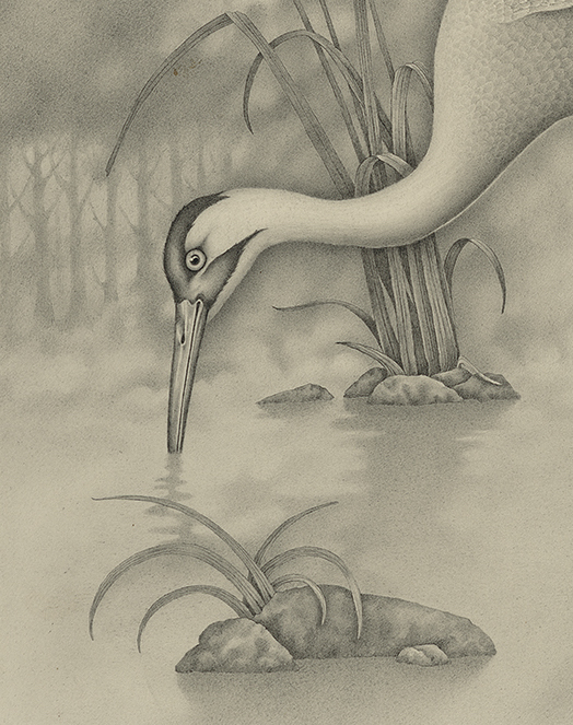 Heron Love by Zoë Payne — detail view