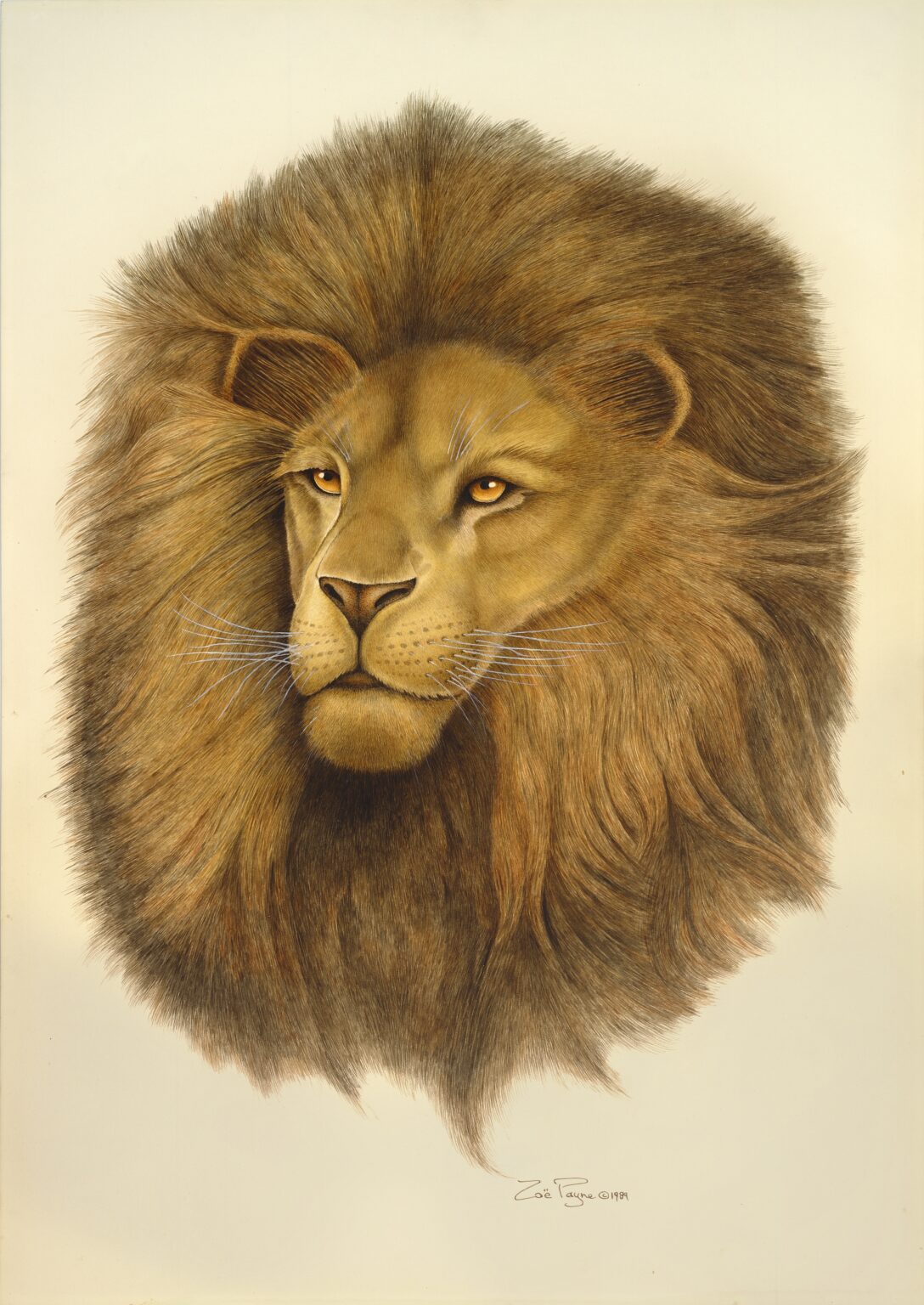 LEO by Zoë Payne — fine art print