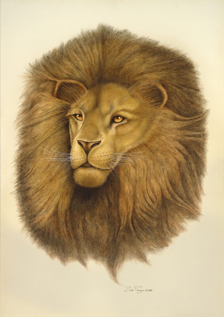 LEO by Zoë Payne — fine art print