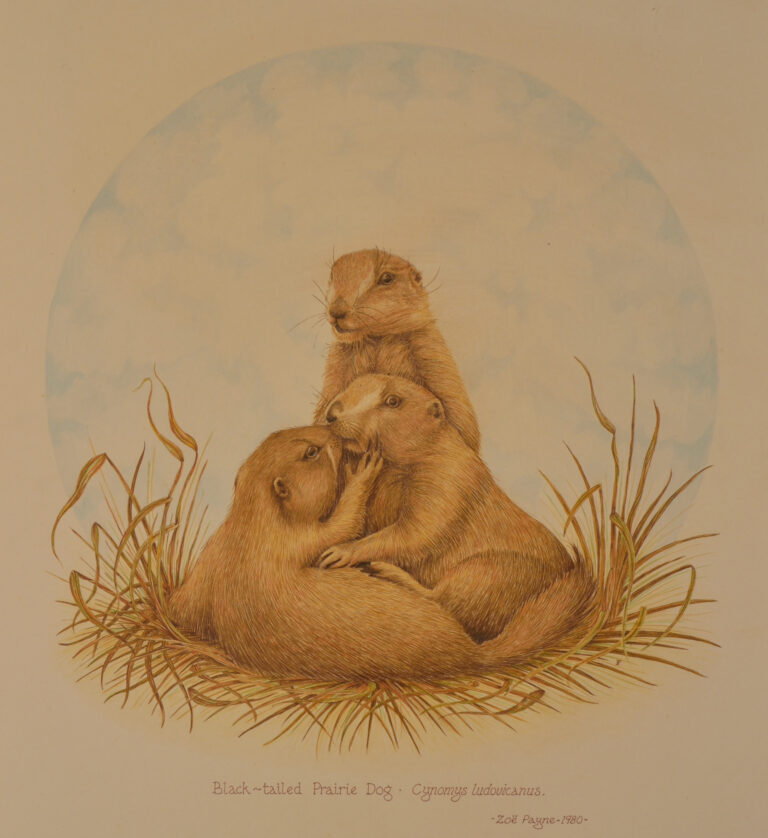 Hamsters in Love