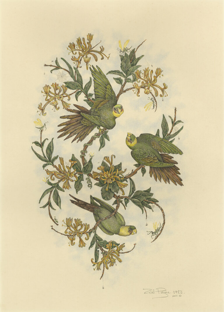 Three Parakeets and Crickets
