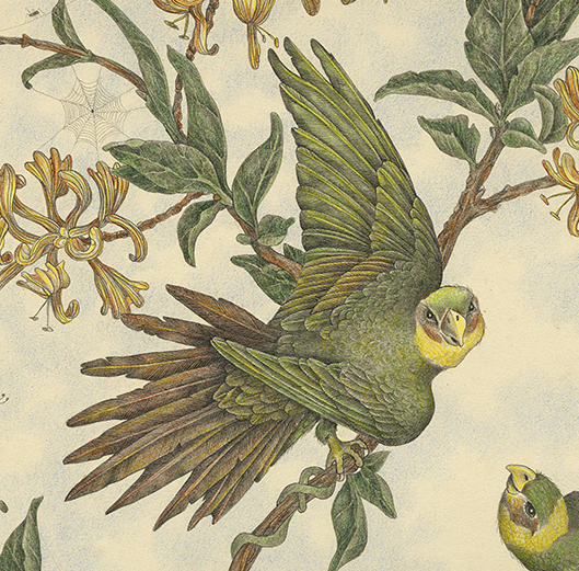Three Parakeets and Crickets by Zoë Payne — detail view