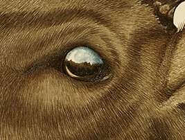 Screaming Elk by Zoë Payne — detail view