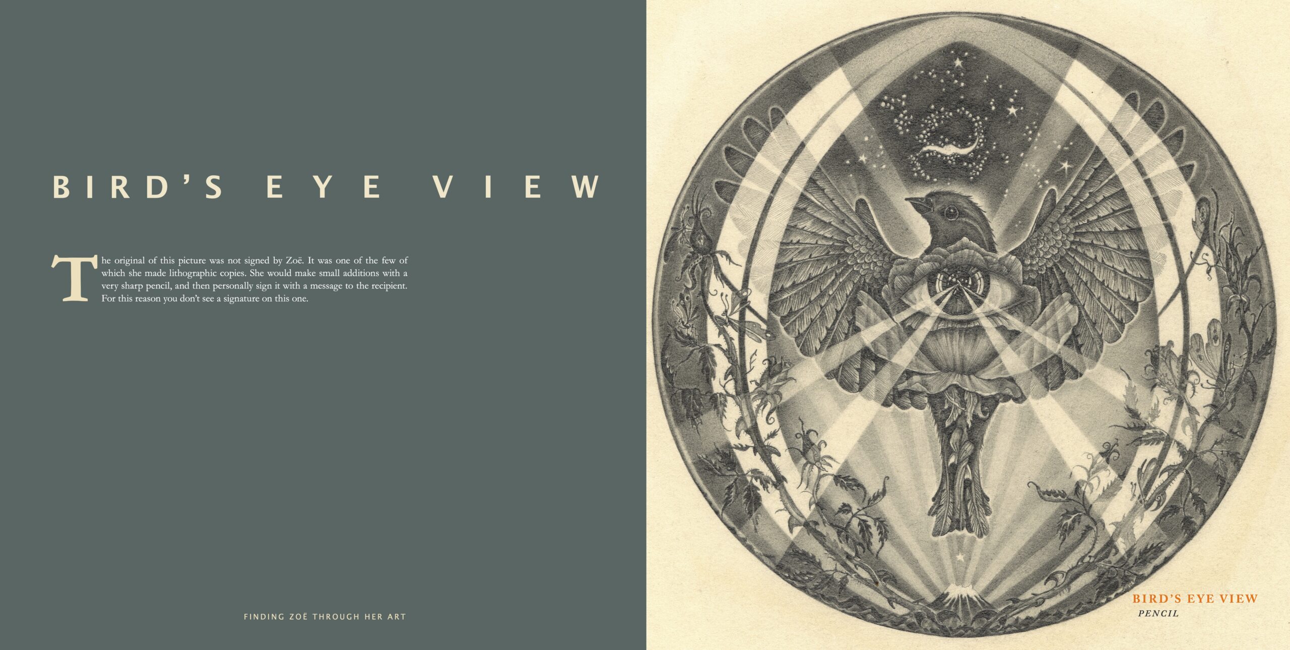 Bird's Eye View by Zoë Payne — detail view