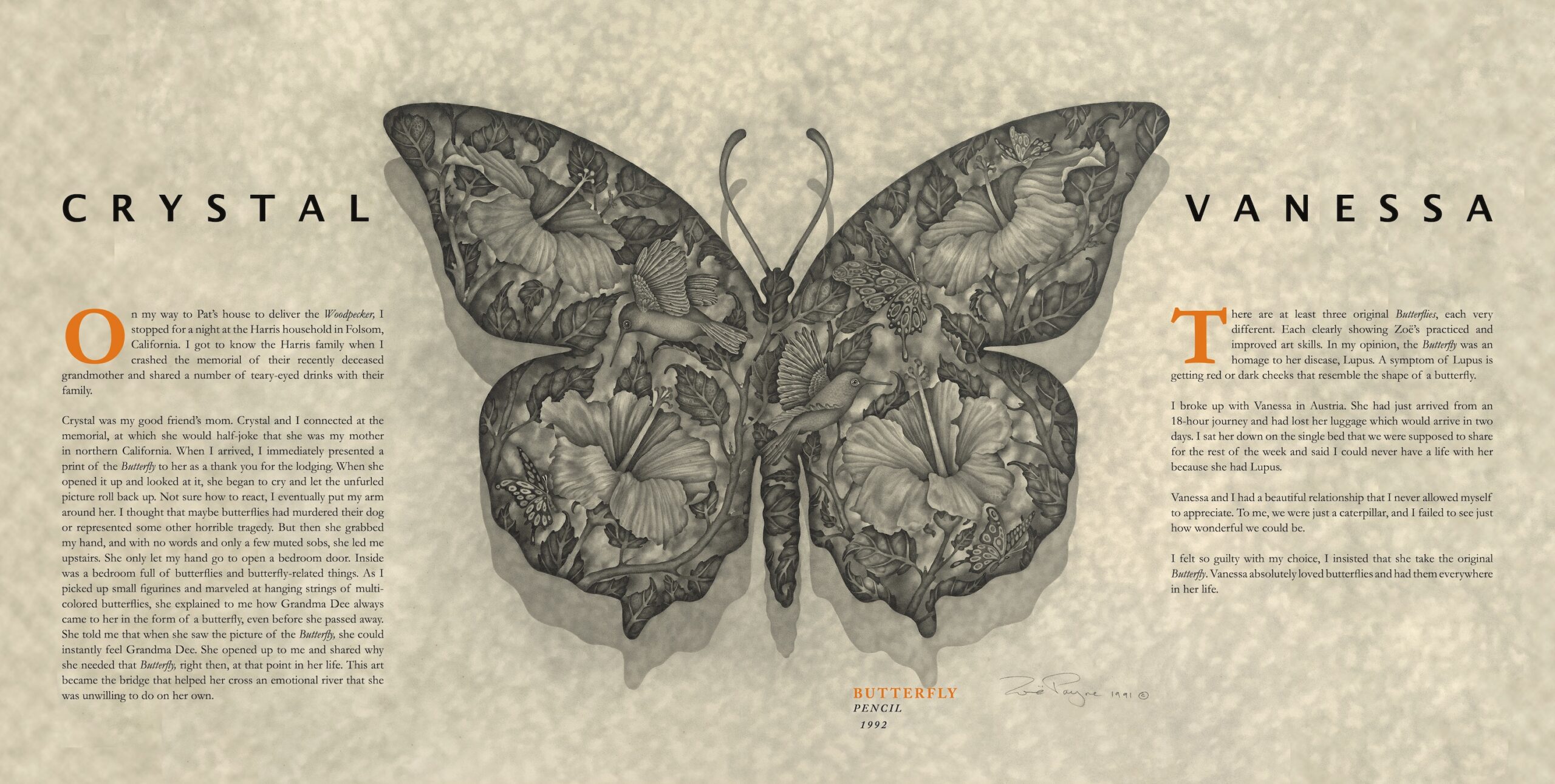 Finding Zoë Through Her Art - Image 11