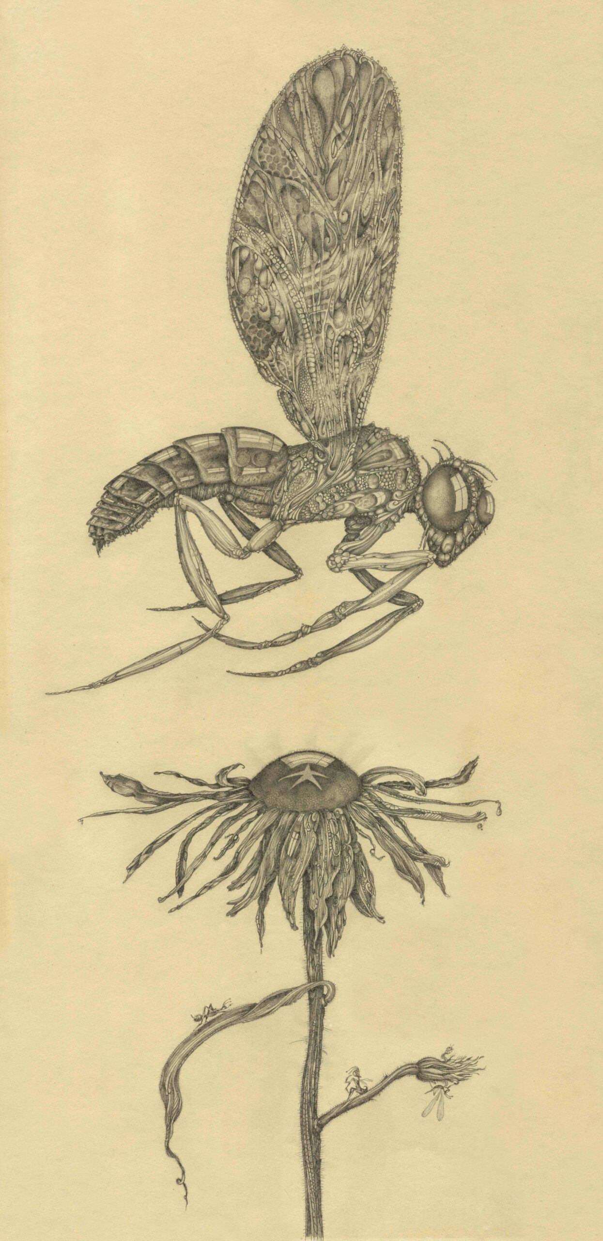 Dandelion Wasp by Zoë Payne — detail view